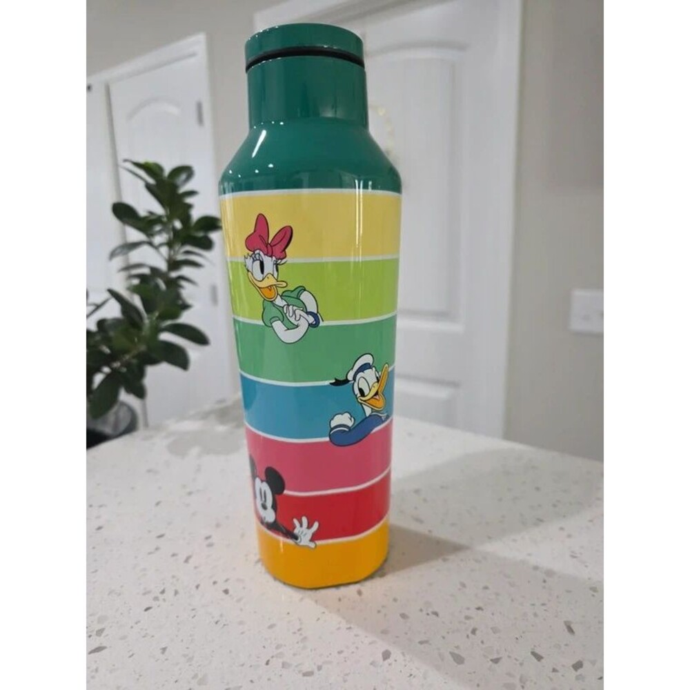 Disney x Corkcicle Canteen (20oz)